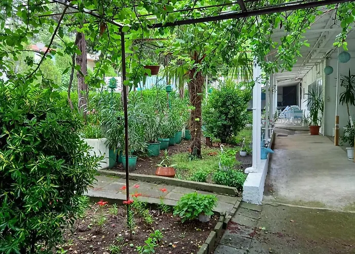 почивна база светлина キャンプ場 *